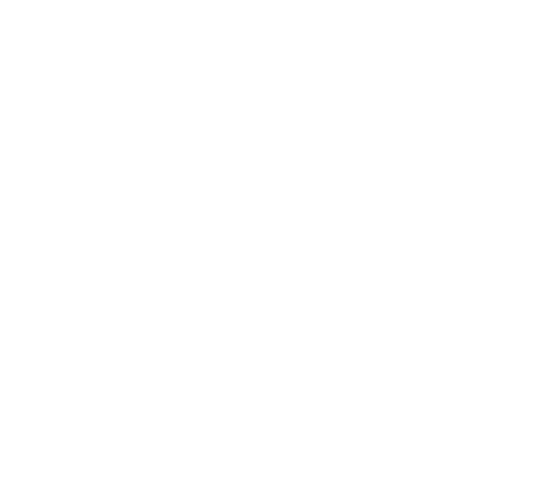 Paradoche